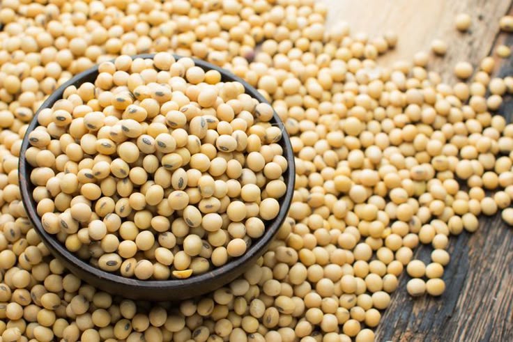 Bulk Iranian Soybeans Supplier for Embassies, Ministries & Consulates Food Service Providers; Wholesale Pricing & Full Export Documentation